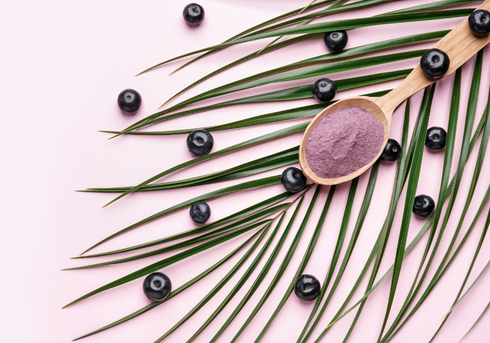 Acai Beeren auf einem Palmblatt und Acai Pulver auf einem Holzlöffel