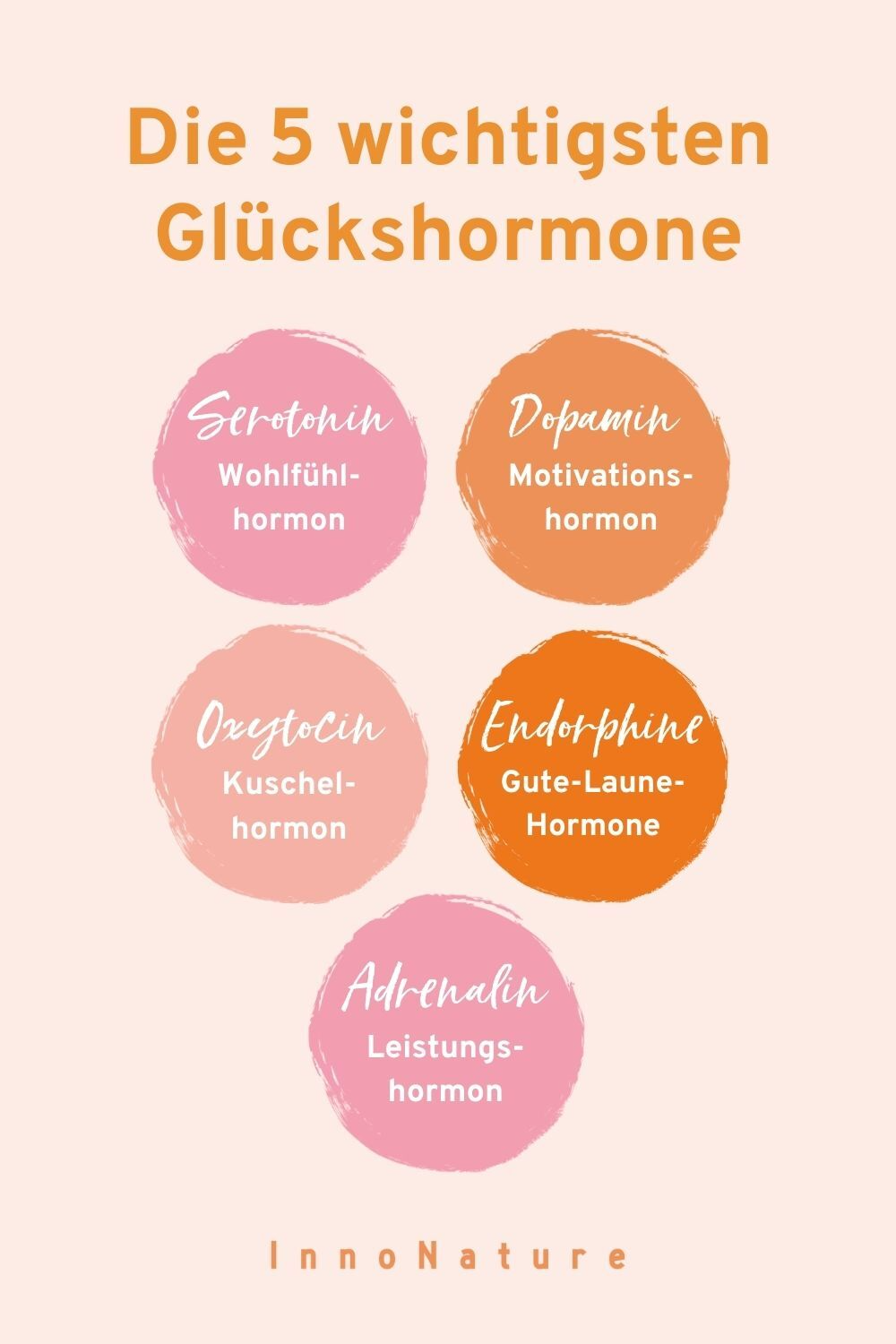 Die Grafik zeigt 5 Glückshormone in unterschiedlich farbigen Kreisen vor rosa Hintergrund. Zu sehen ist: Serotonin, Dopamin, Oxytocin, Endorphine und Adrenalin. 