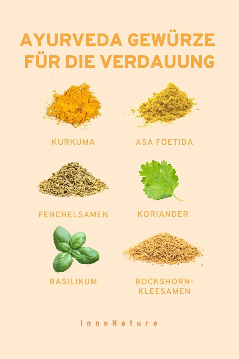 Grafik mit 6 ayurvedischen Gewürzen 