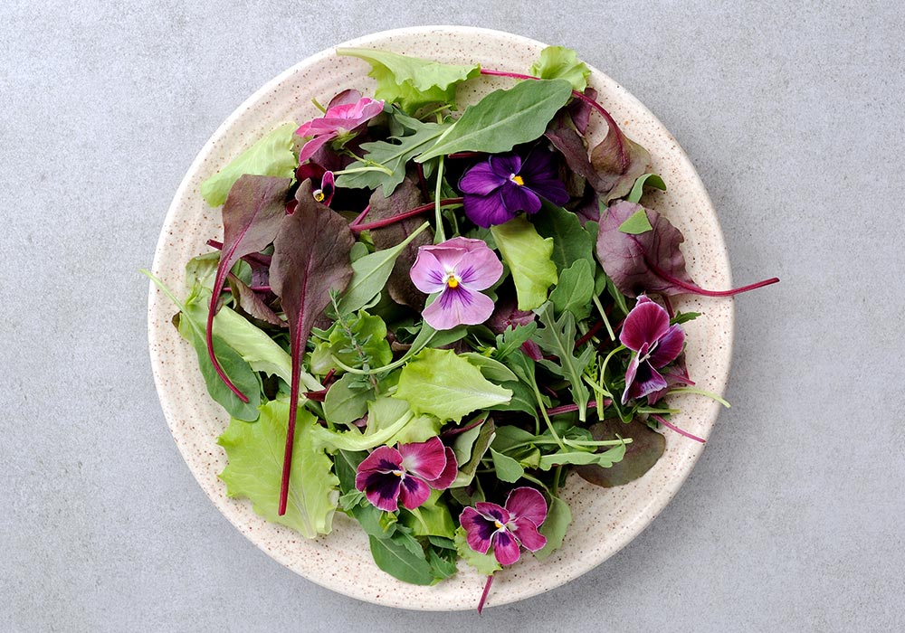 Salat mit essbaren Blumen, Schön angerichtet auf einem gesprenkelten Teller.
