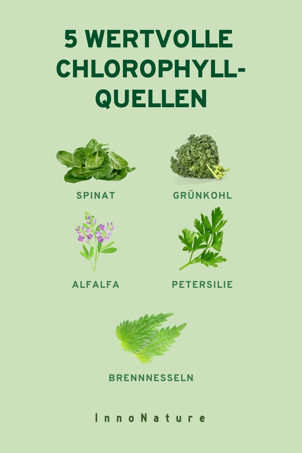Grafik: 5 wertvolle Chlorophyll Quellen
