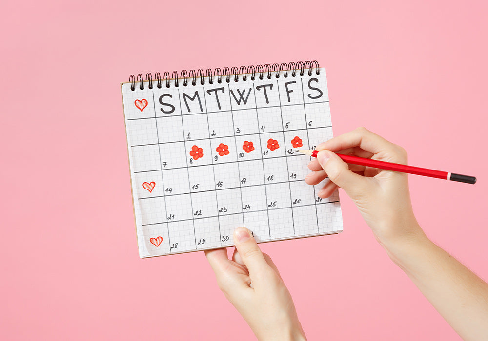 Zwei Hände halten einen Zykluskalender vor pinkem Hintergrund
