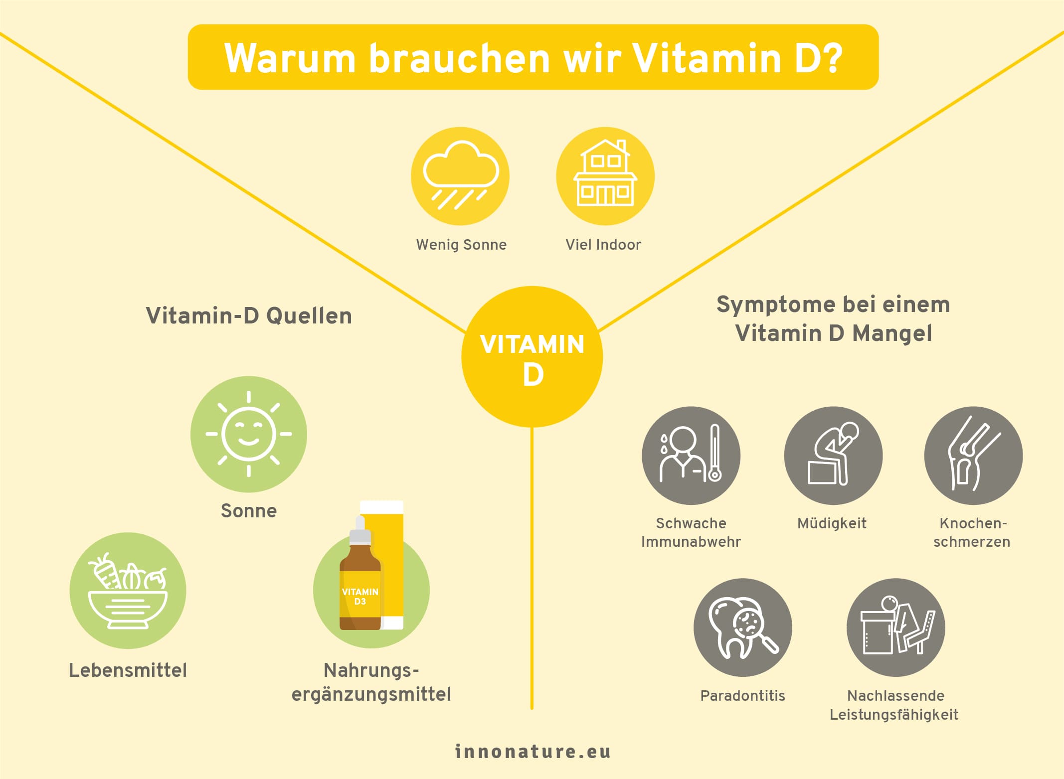 Grafik: Warum brauchen wir Vitamin D3.