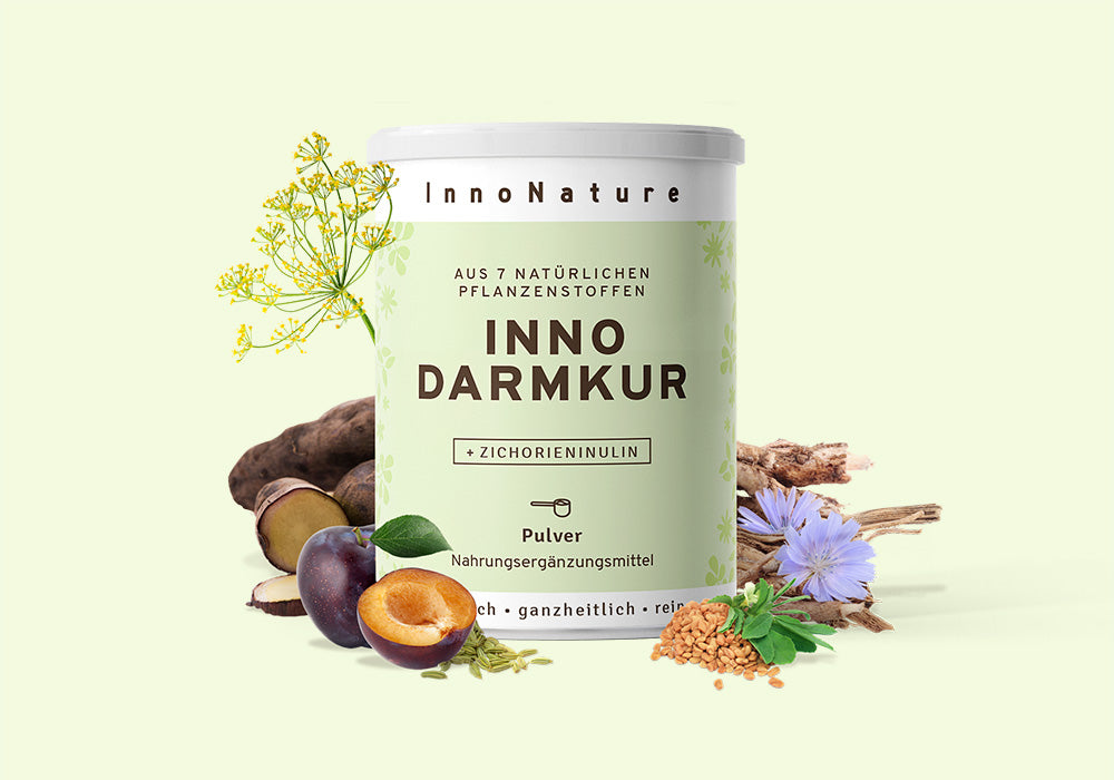 Innonature Darmkur 