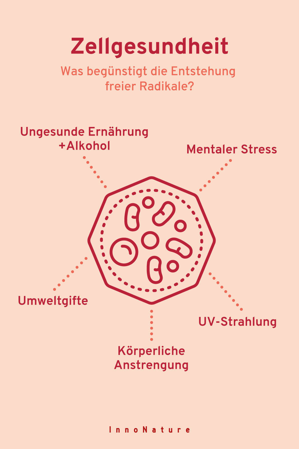 Grafik zur Zellgesundheit