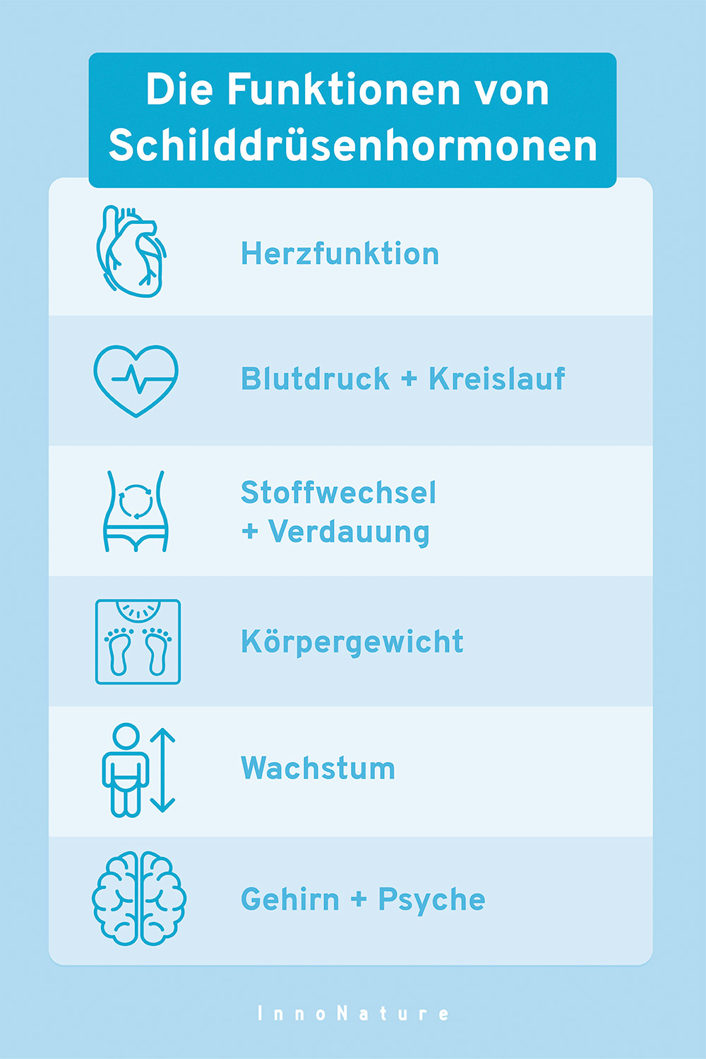 Grafik: Funktionen von Schilddrüsenhormonen
