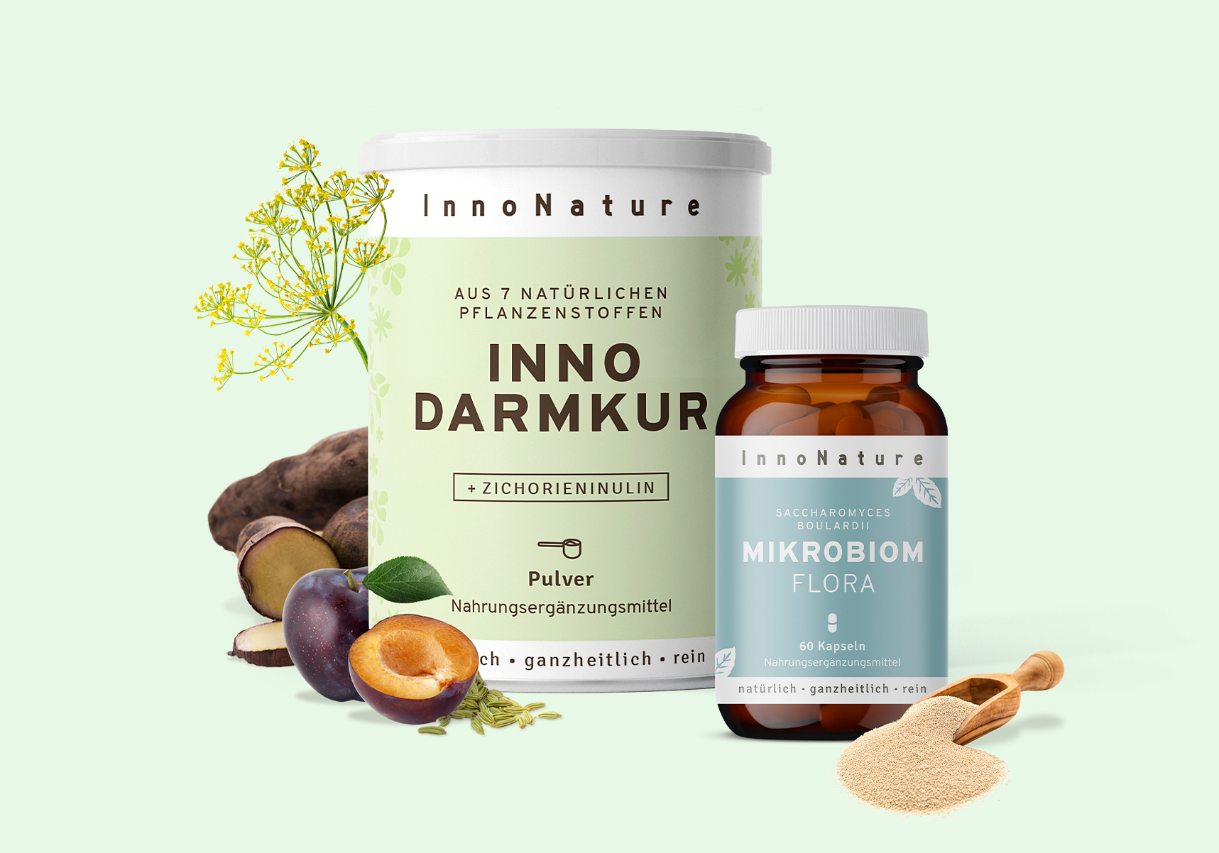 InnoNature Darmkur Starter Set