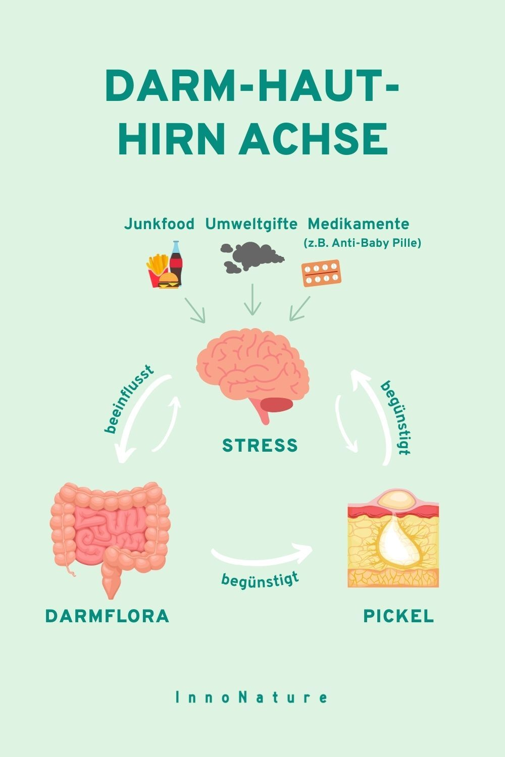Infografik: Darm-Haut-Hirn Achse