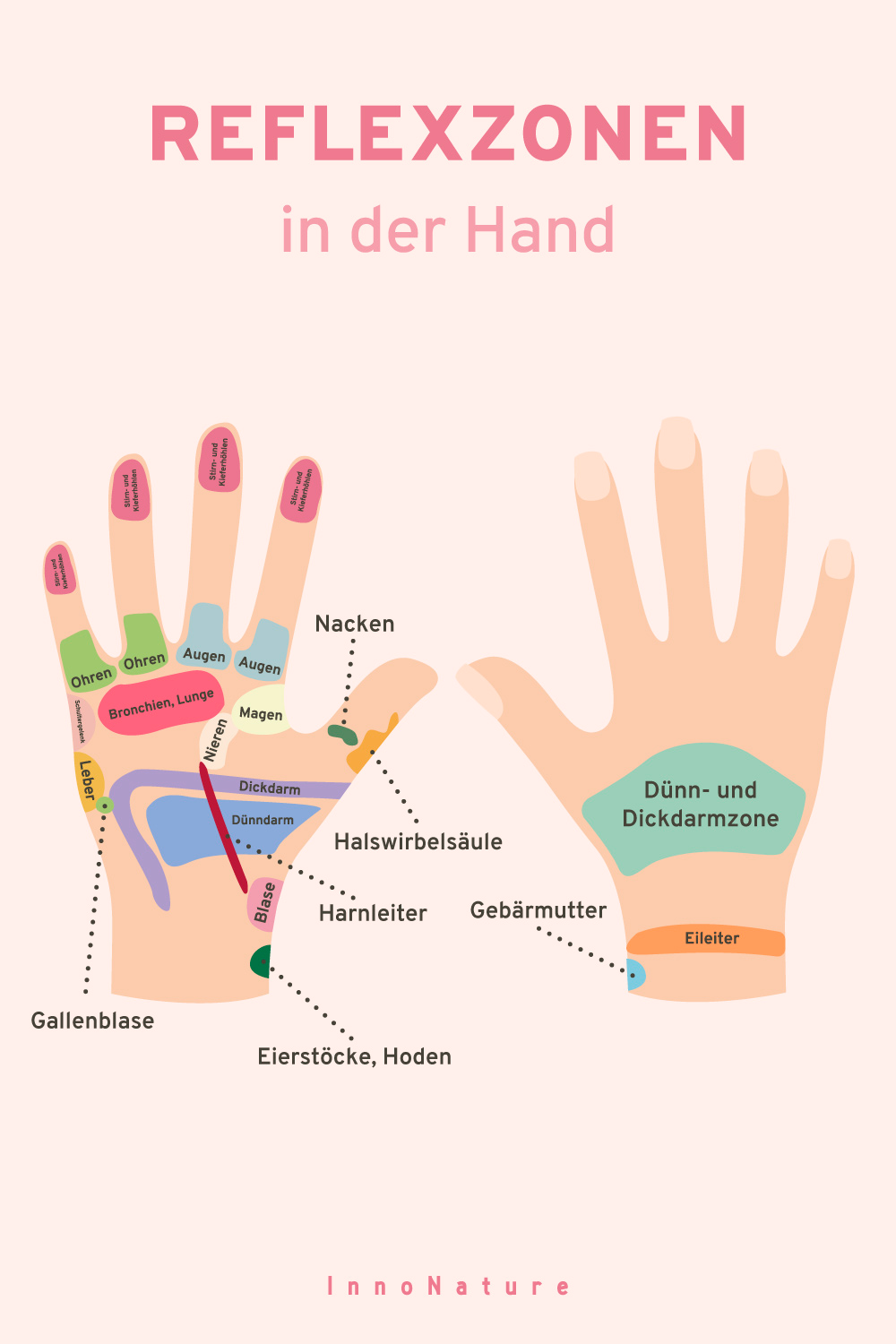 Reflexzonen in der Hand.