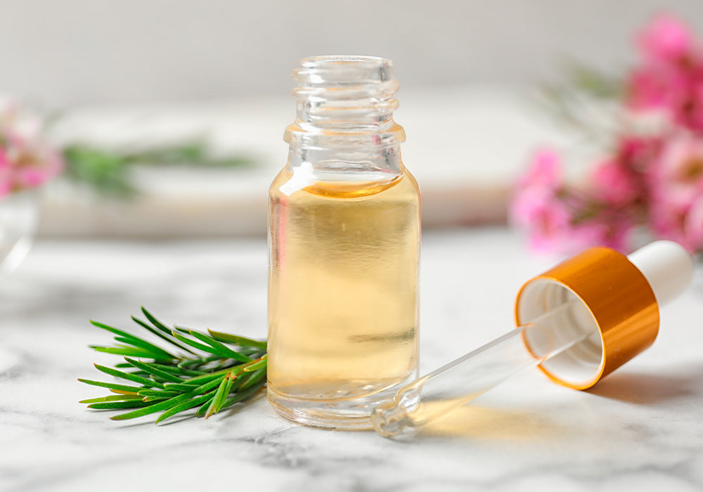 Kleines, durchsichtiges Flächschen mit Öl. Daneben liegen eine Pipette und ein kleines Ästchen vom Teebaum.