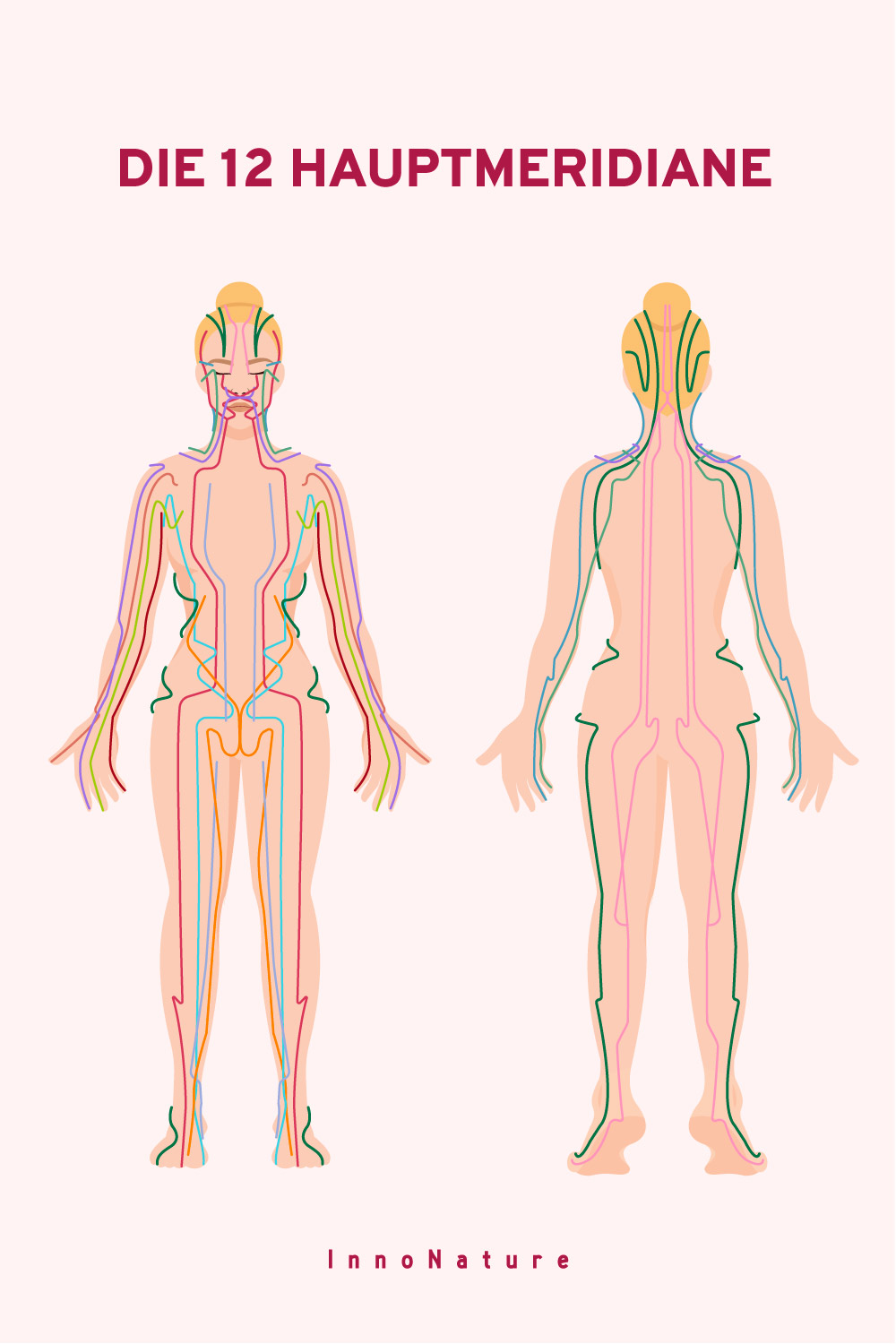 Illustration einer Frau mit den 12 Hauptmeridianen in unterschiedlichen Farben.