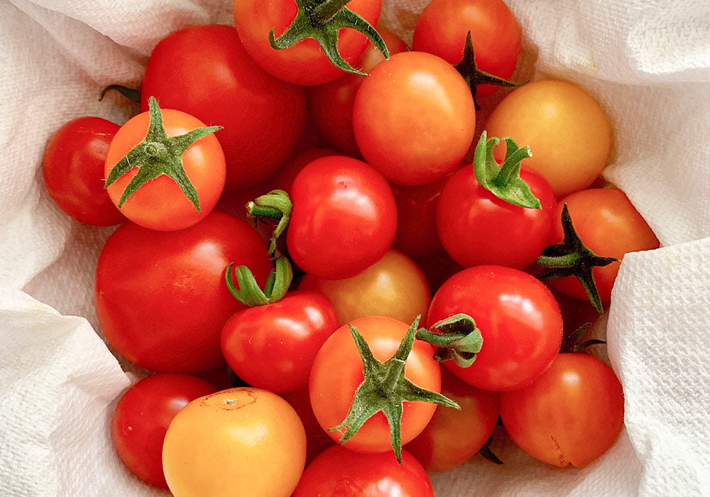 Tomaten in einer Kiste. Tomaten sind reich an Lycopin (Carotinoid).
