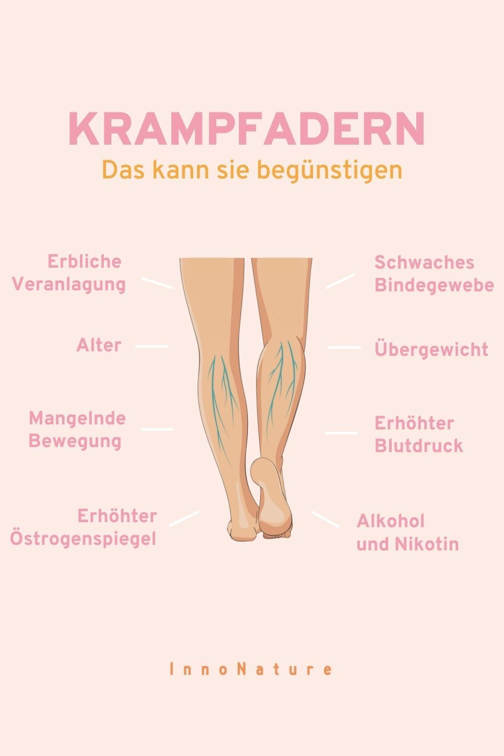 Illustration, die die Ursachen von Krampfadern aufzeigt 
