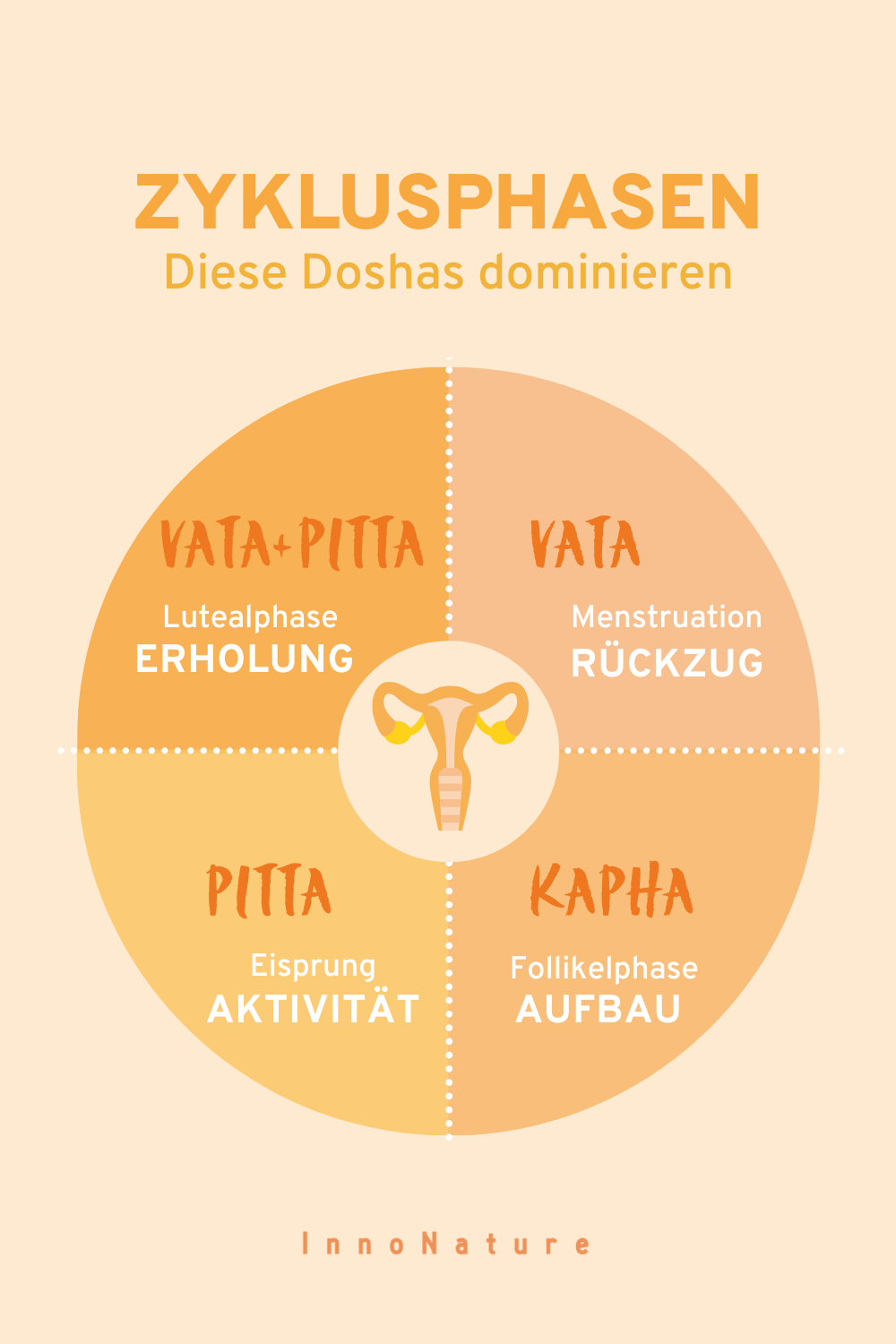 Grafik mit den unterschiedlichen Dosha-Zyklus-Phasen