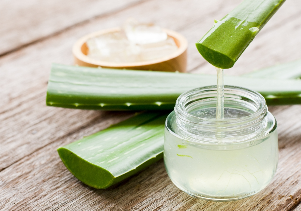 Aloe Vera