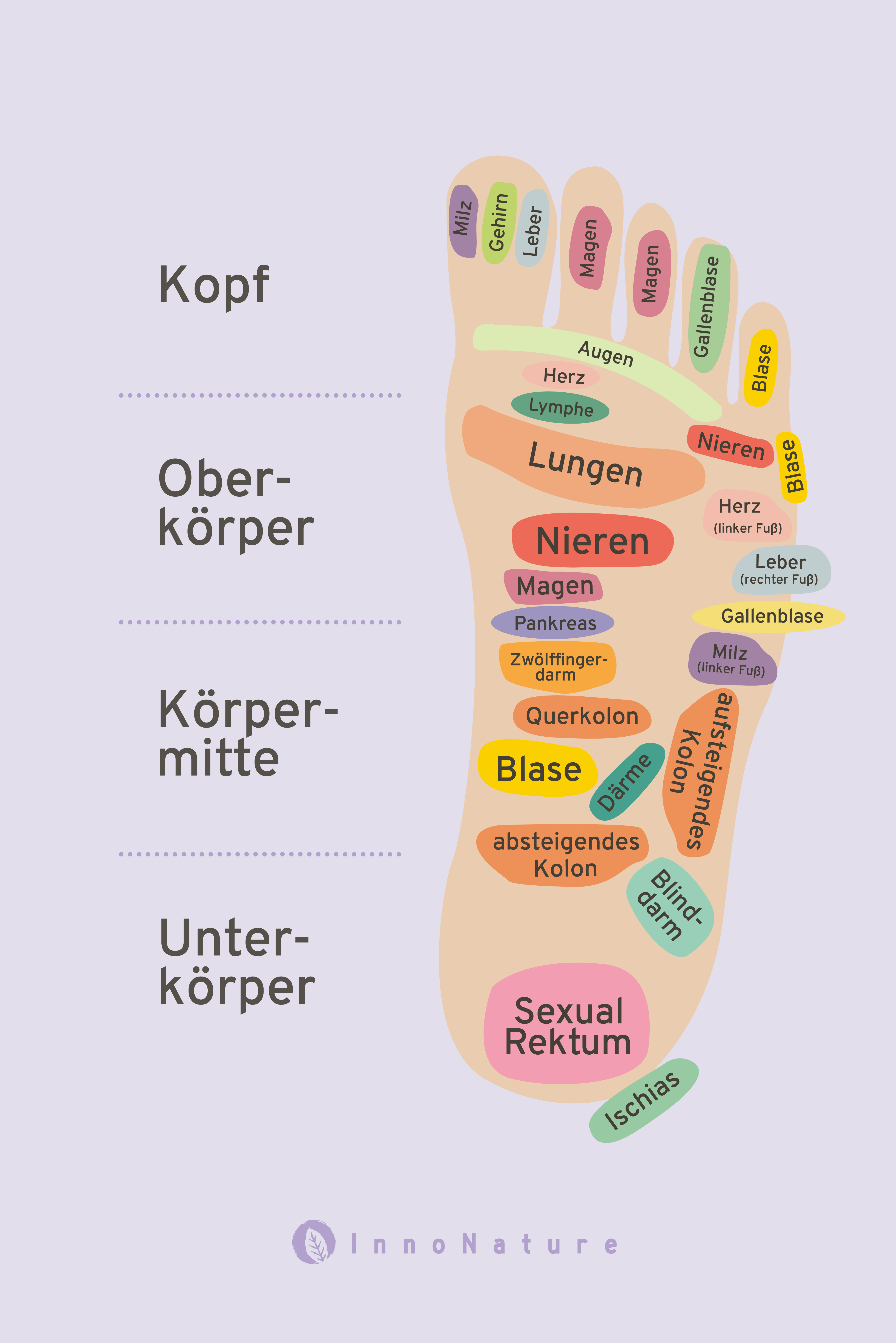 Reflexzonen am Fuß.