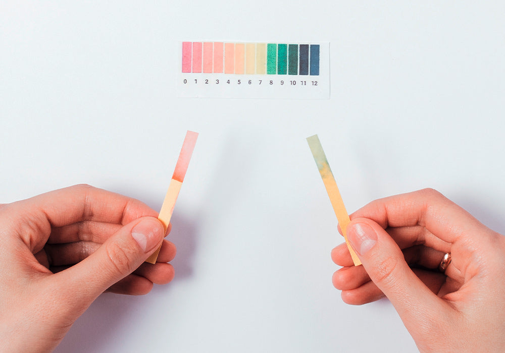 Frauenhände halten 2 Teststreifen für einen pH-Wert-Test