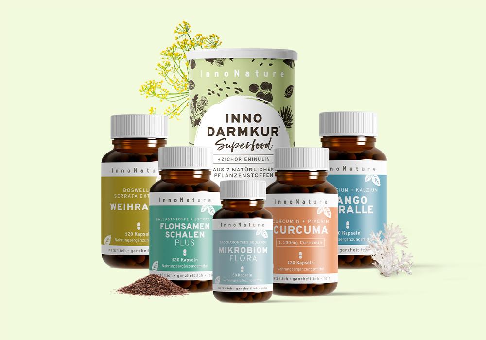 InnoNature Großes-Darmkur-Paket.