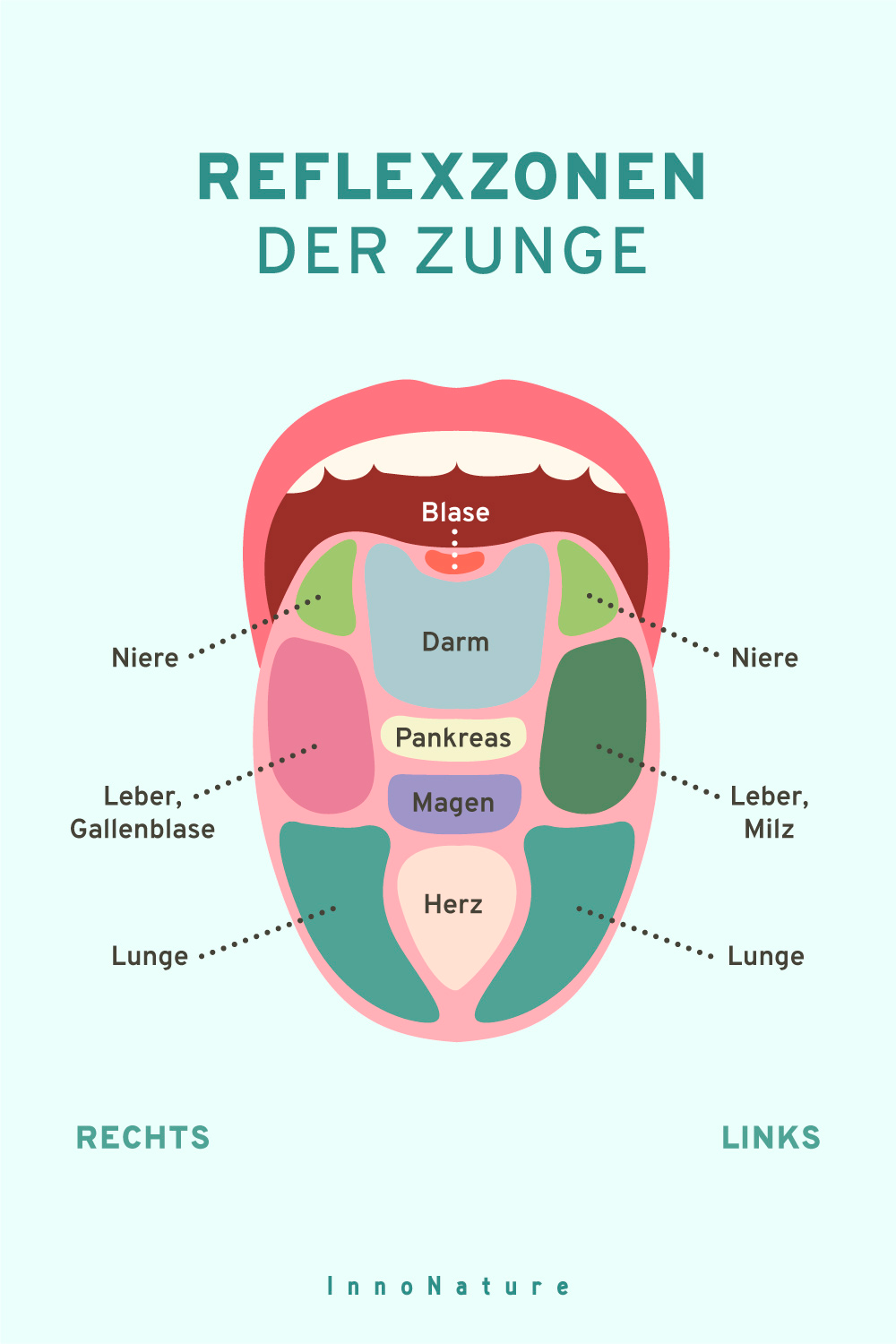 Reflexzonen der Zunge.