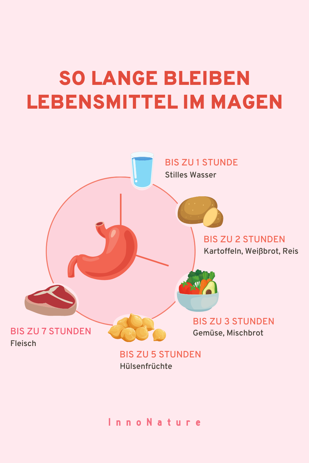 Verdaungszeit Tabelle: Die Grafik veranschaulicht wie lange unterschiedliche Lebensmittel im Magen bleiben, bis sie verdaut sind.