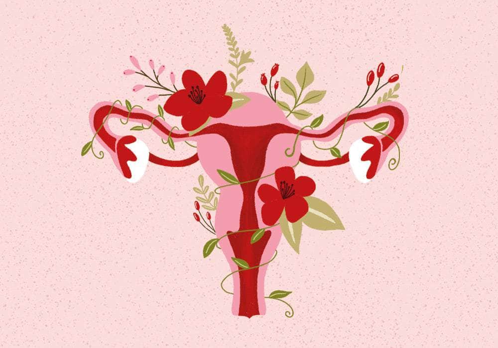 Grafik eines Uterus auf rosa Hintergrund