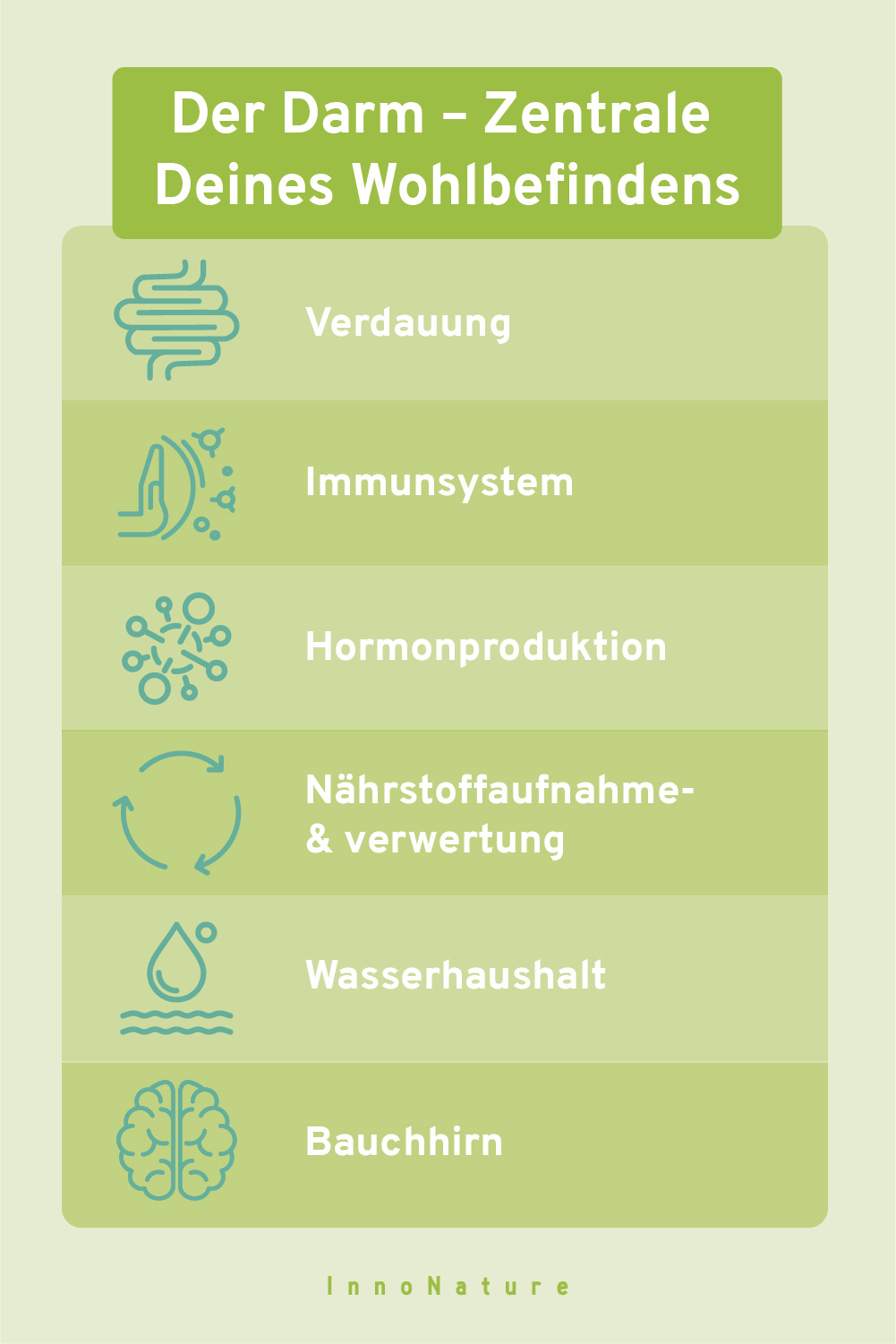 Grafik mit Bereichen, für die der Darm eine Rolle spielt: Hormone, Verdauung, Nährstoffverwertung, Wasserhaushalt, Gehirn