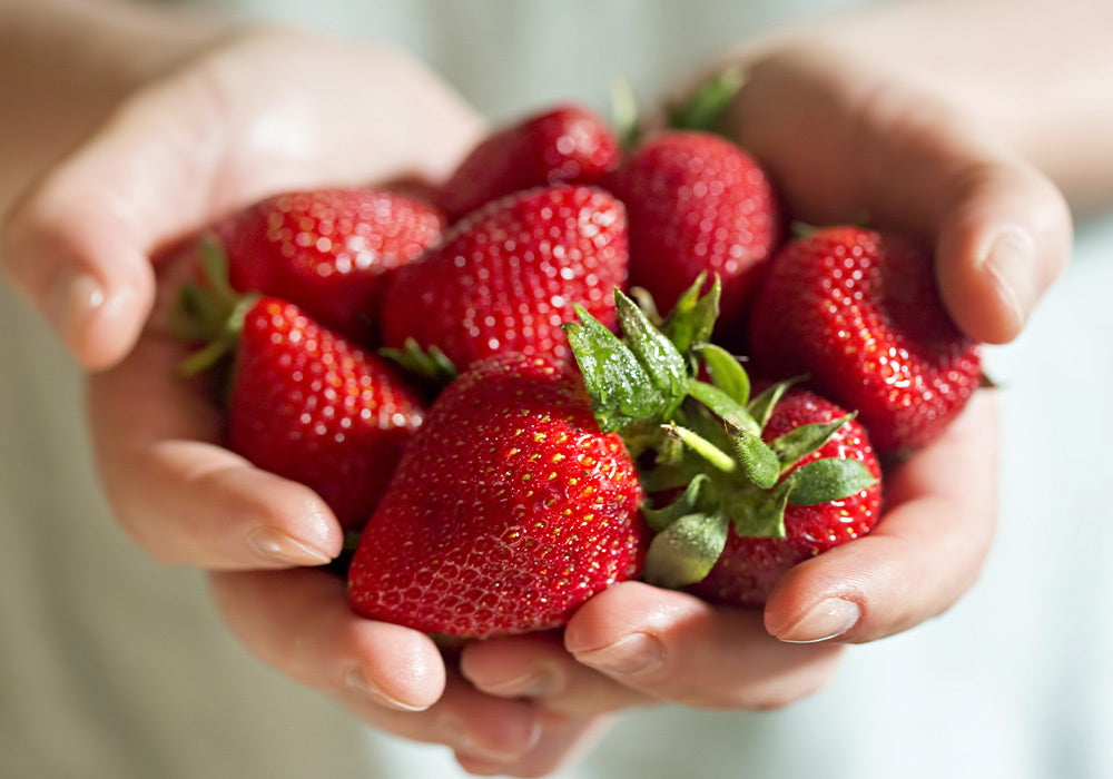 Zwei Hände halten zu einer Schale geformt Erdbeeren.