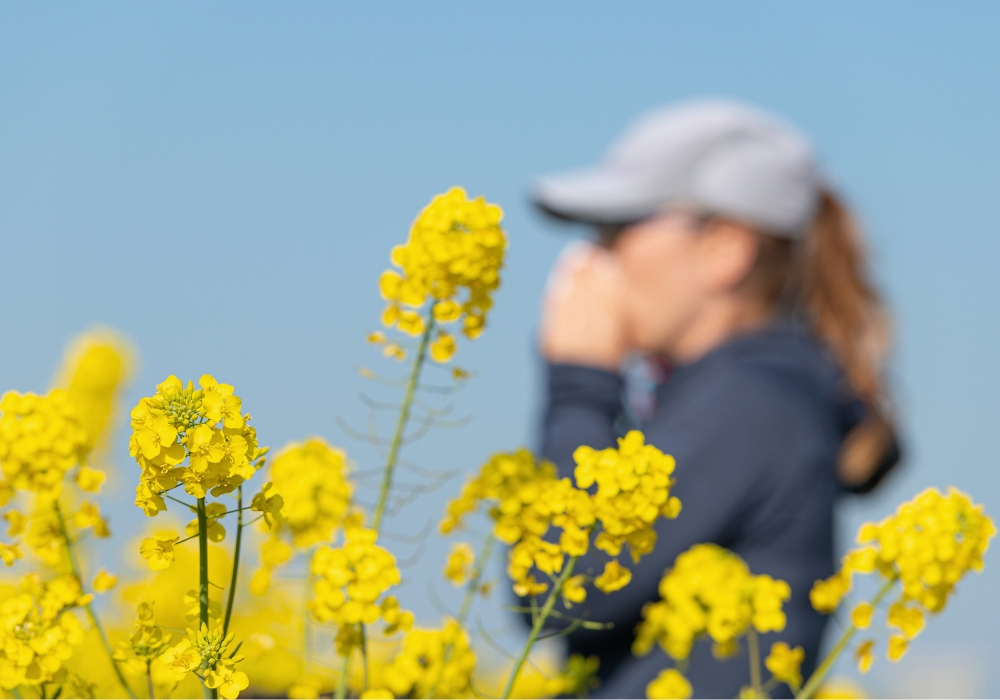 Blumenwiese, Frau im Hintergrund putzt ihre Nase