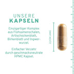 InnoNature Kapseln Flohsamenschalen Plus Kapseln