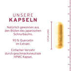 InnoNature Kapseln Quercetin 90 Kapseln
