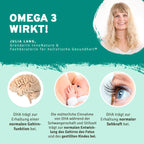 InnoNature Pakete 1x Vorrat (1x Flohsamenschalen Plus Kapseln, 1x Haut-Haare-Nägel Kapseln, 1x Vitamin B12, 1x Lemon Morning) was.kai.sagt-Essentials-Paket
