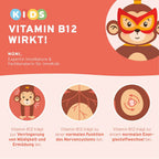 InnoNature Pakete 1x Vorrat (1x Omega 3 Kids, 1x Eisen Kids, 1x Immun Kids, 1x Vitamin B12 Kids) Lernstark-Kids-Paket