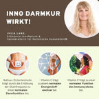 InnoNature Pulver Inno Darmkur