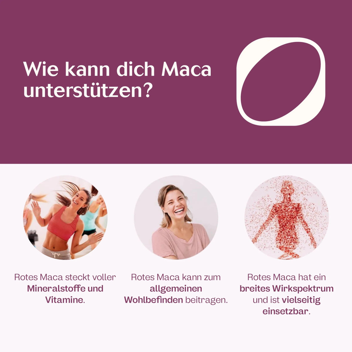 Maca Duo