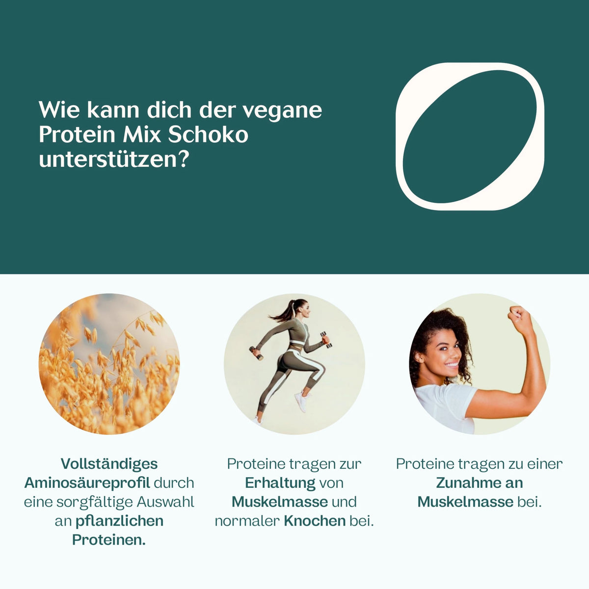 Bio Veganer Protein Mix Schoko