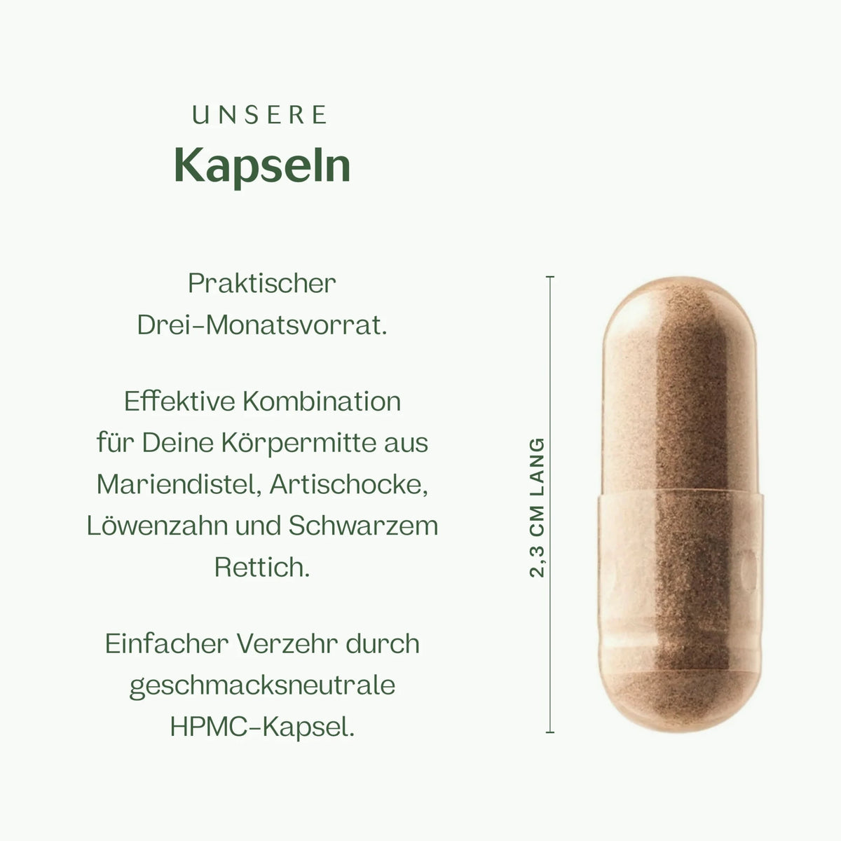 Mariendistel Plus Kapseln