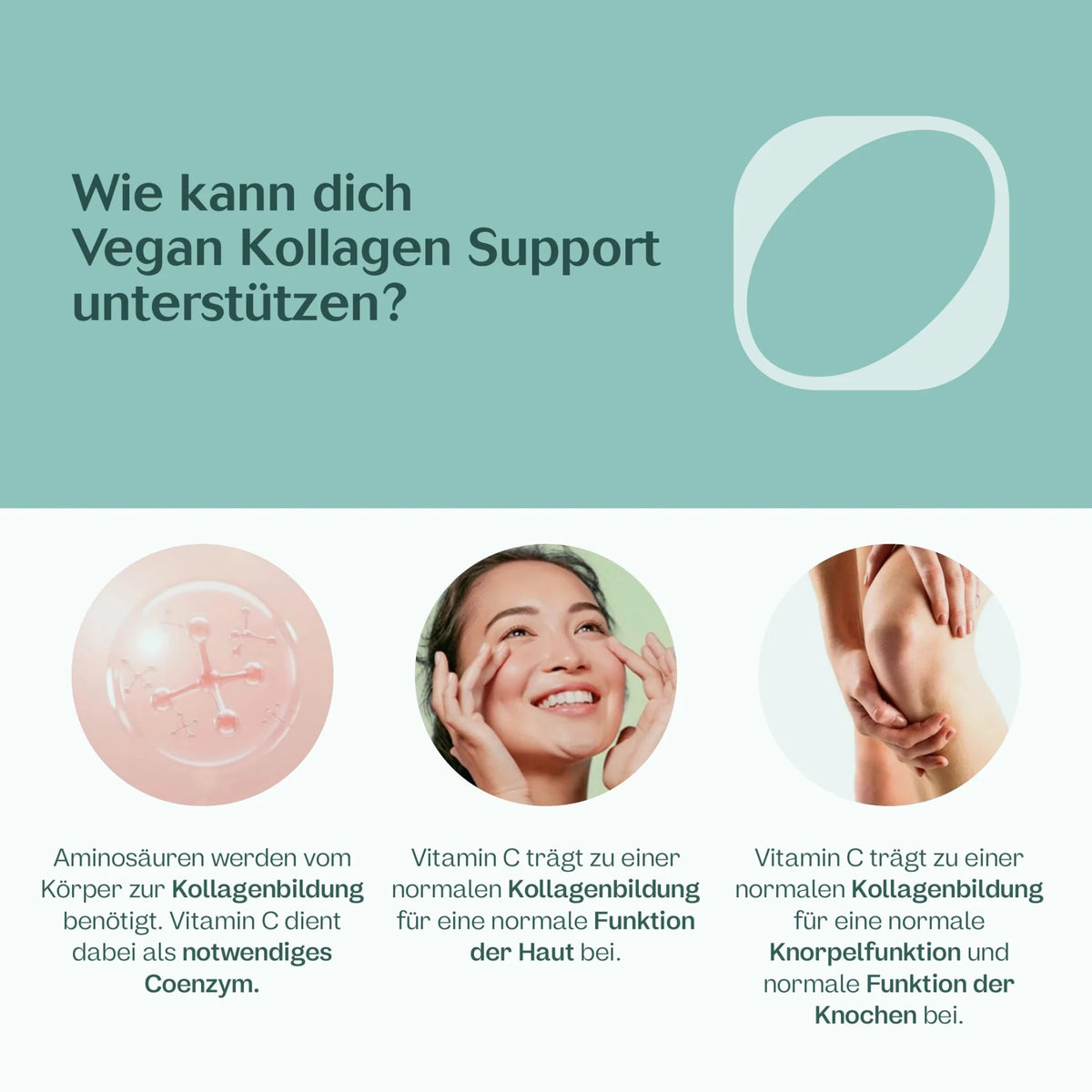 Vegan Kollagen Support Kapseln