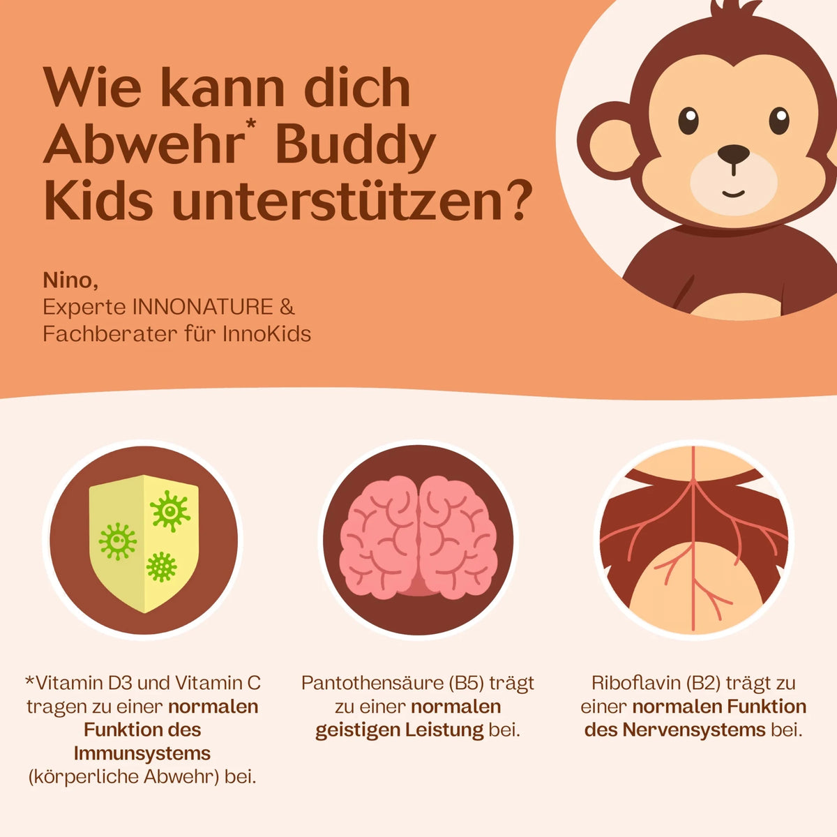 Abwehr Buddy Pulver Erdbeere + Rote Bete