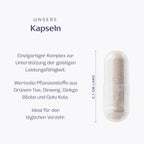 Fokus Kapseln