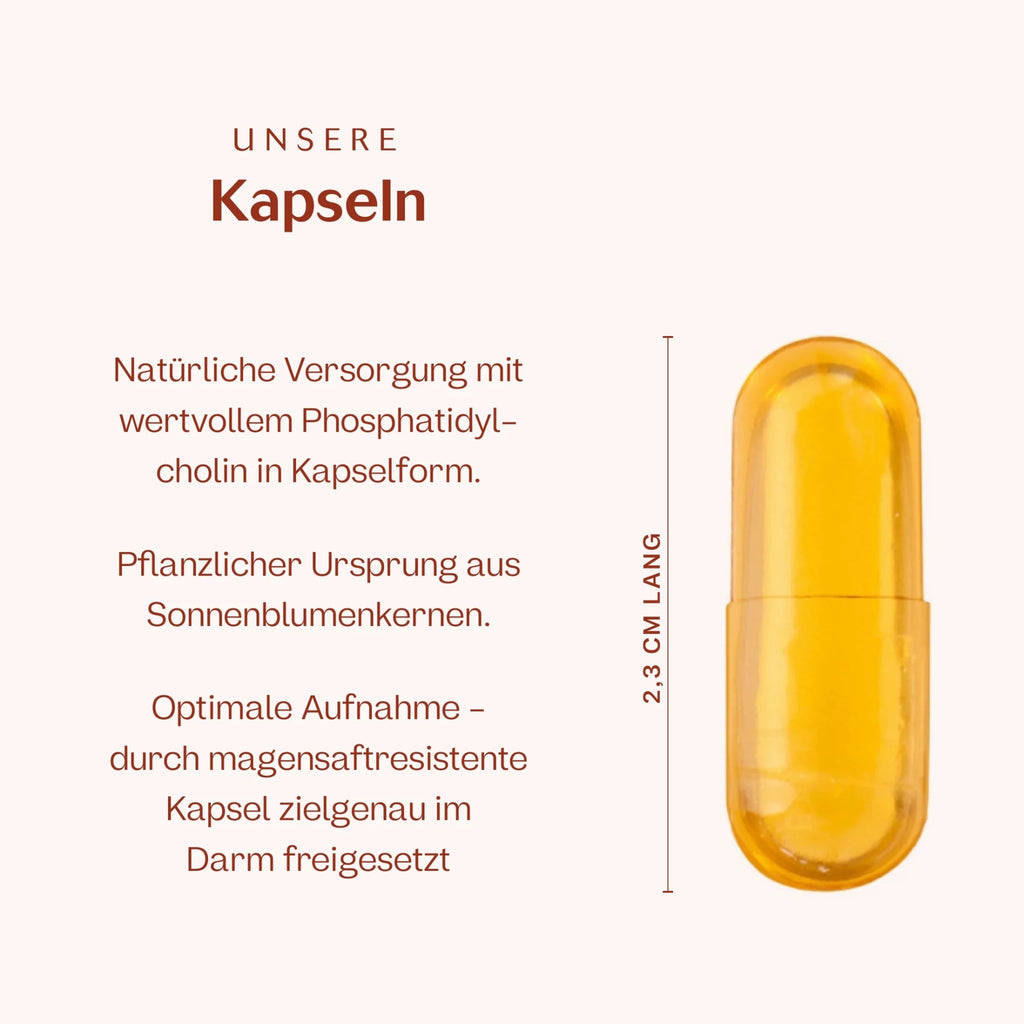 Phosphatidylcholin 60 Kapseln