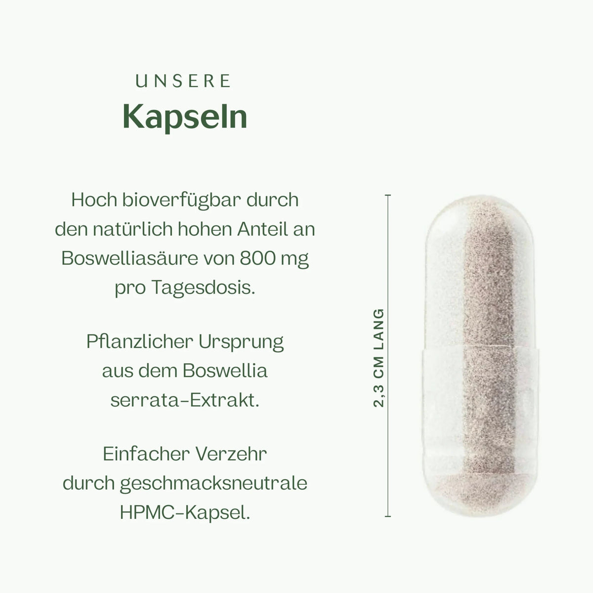 Boswelliasäure: Weihrauch Kapseln