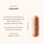 Zink + Kupfer + Mangan 60 Kapseln