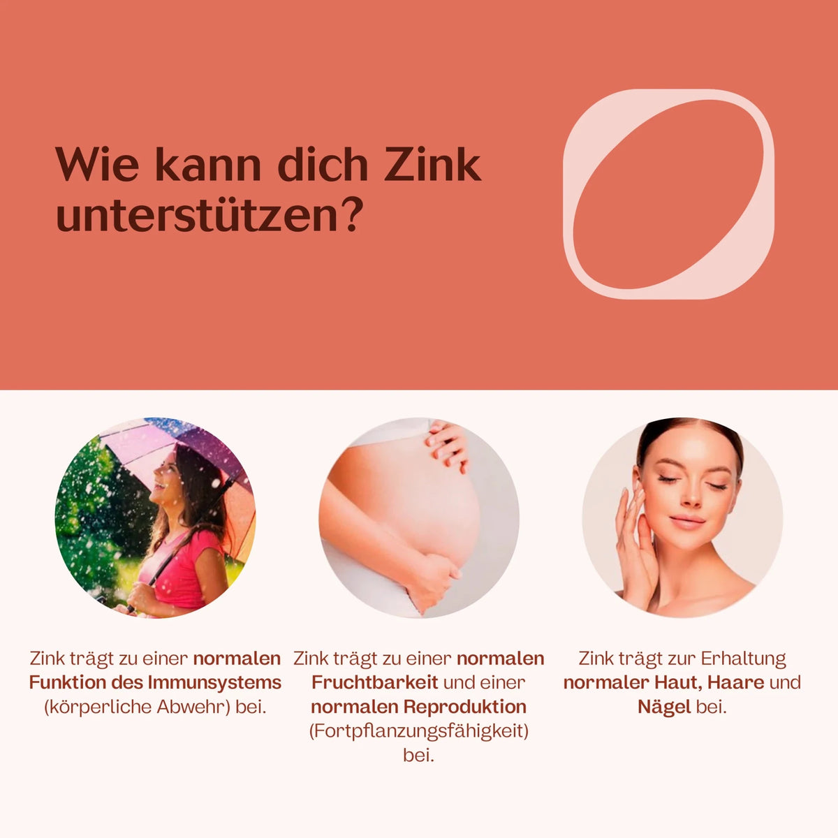 Großes Immunsystem und Anti-Müdigkeits-Paket