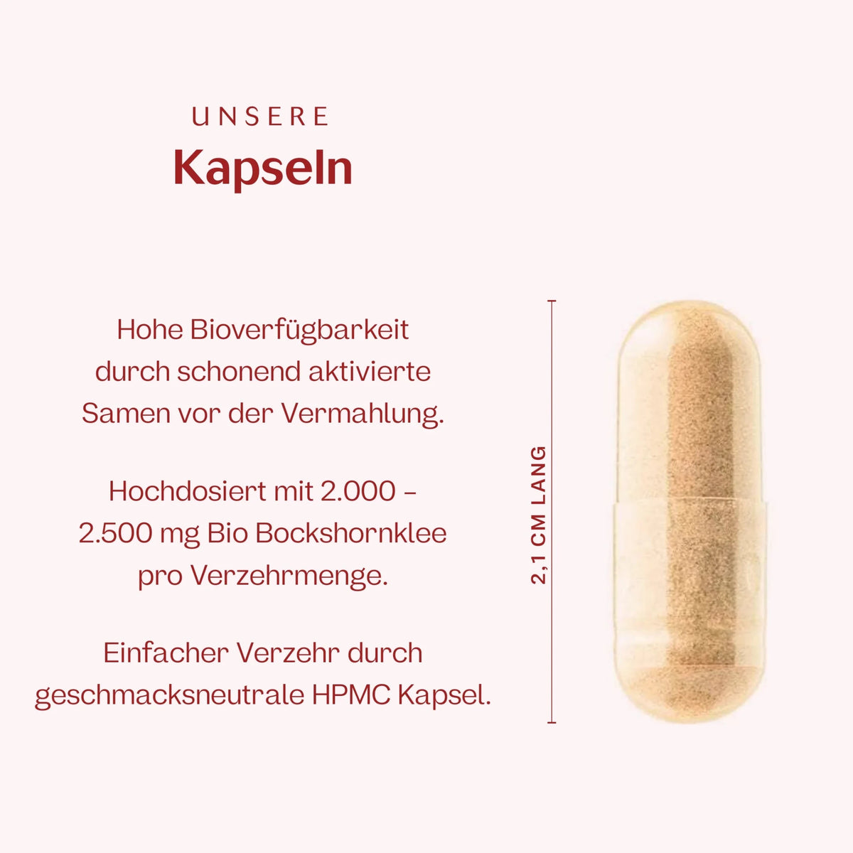 Bio Bockshornklee Kapseln