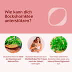 Bio Bockshornklee Kapseln