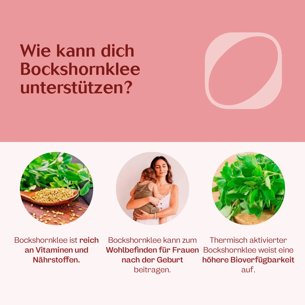 Bio Bockshornklee Kapseln
