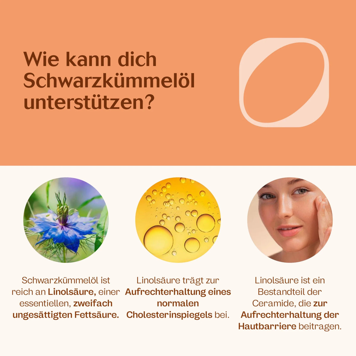 Allergie-Paket