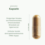 Flohsamenschalen Plus Kapseln