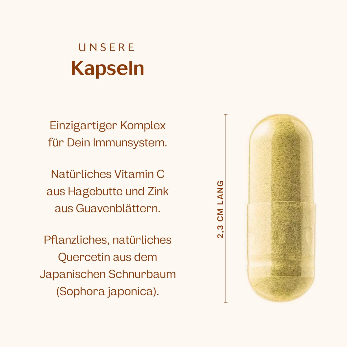 Immun Aktiv Kapseln