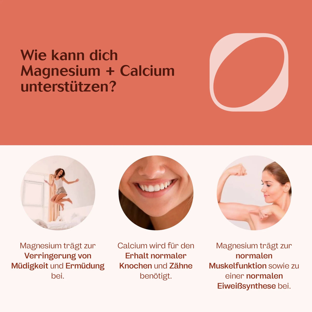 Magnesium + Calcium Kapseln